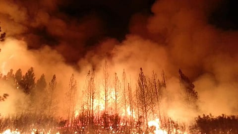 Wildfire in Stanislaus National Forest near California in 2013. Photo: Wikimedia Commons 