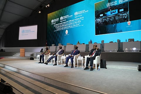 Impact of environment on health: Africa adopts strategy for better synergy between sectors