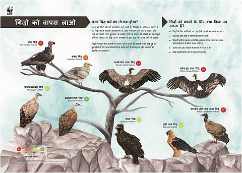 अंतरराष्ट्रीय गिद्ध जागरूकता दिवस पर जारी किया ''ब्रिंग बैक दि वल्‍चर'' पोस्टर