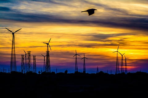India’s wind energy sector struggles despite SECI’s oversubscribed bids