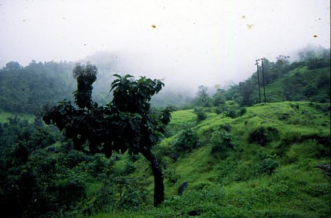 Do away with forest clearance to explore mining activities: Mines ministry to MoEF&CC