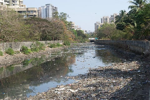 Polluted Malad creek in Mumbai. Photo: Wikimedia Commons 