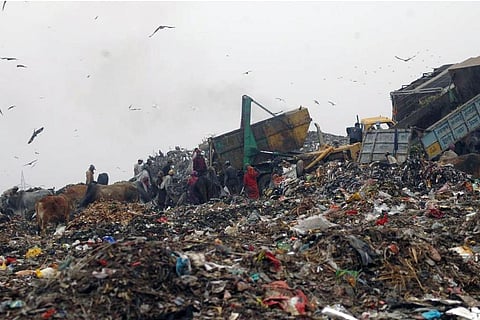 जानिए क्यों एनजीटी ने महाराष्ट्र पर लगाया 12,000 करोड़ का जुर्माना