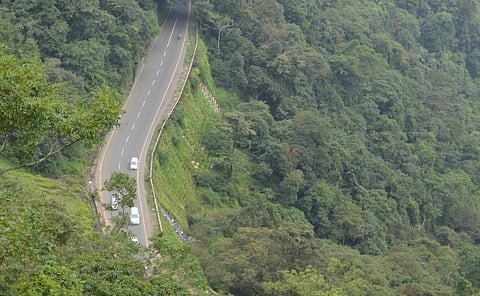 The Western Ghats in Wayanad, Kerala. Photo: iStock