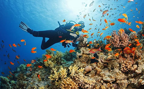 Photo: iStock