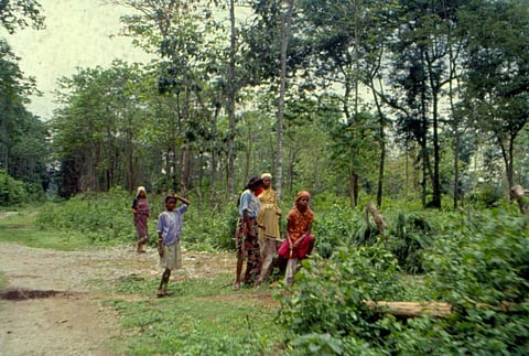 Has forest rights Act enhanced the lives of Adivasis?