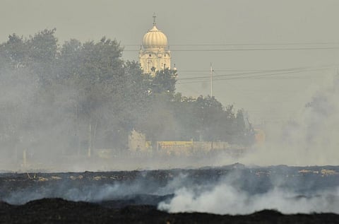 ‘Air pollution and climate change actions should be connected to reduce impact on people’s health’
