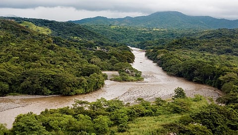 Increasing Costa Rica’s riparian forests can improve its water quality, carbon storage