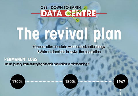 The revival plan: India’s journey from destroying cheetah population to reintroducing it