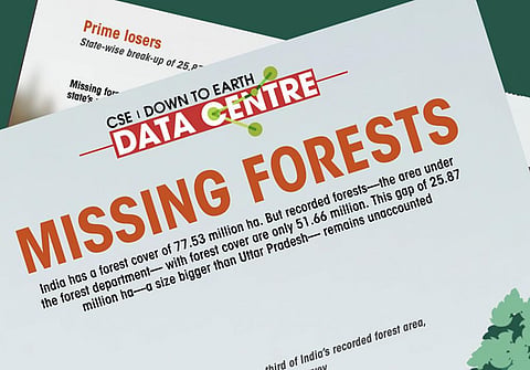 Missing forests: A third of recorded forest area not assessed in latest govt survey 