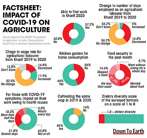 How did COVID-19 pandemic pan out for India’s farmers? Check out these 8 charts 