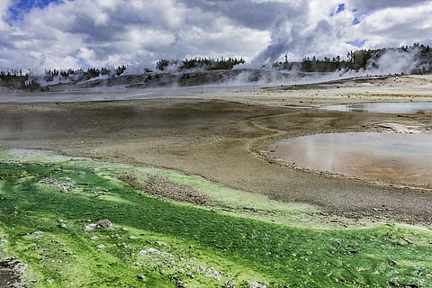 Green-brown lakes make up 69 per cent of all lakes. Photo: iStock