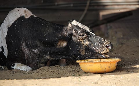 Photo: Vikas Choudhary / CSE
