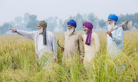 Photo: iStock