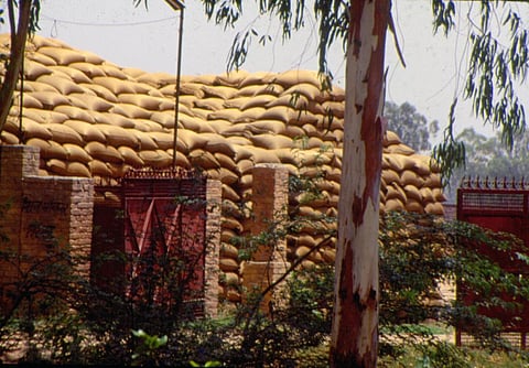 Depleting food grain stock ring alarms: Is India staring at a rice crisis? 
