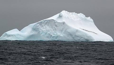 The DNA fragments were taken from the Scotia Sea, north of the Antarctic continent. Photo: Thomas Ronge / Alfred-Wegener-Institute