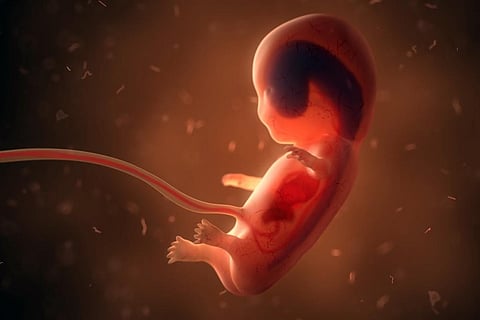 पहली तिमाही में अजन्मे भ्रूण के फेफड़ों और मस्तिष्क में पाए गए प्रदूषण के कण, भ्रूण की कंप्यूटर से तैयार एक छवि; फोटो: एबरडीन विश्वविद्यालय 