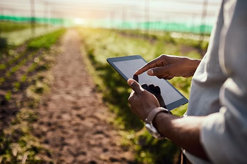 E-government survey 2022: African countries show improvement but high data charges widen digital divide