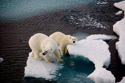 The frequency of glacier calving episodes will play a role in determining it in the coming years. Photo: iStock