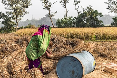 South Bihar farmers say drought compensation too little too late