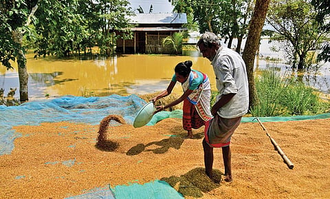 INDIA
Farmers dry their paddy crop on a road in Morigaon district, Assam, on May 24. Assam witnessed widespread floods across its network of rivers this year, affecting more than 30 of the state’s 35 districts, and impacting over 
5 million people. The state estimated the disaster to have cost around R4,416 crore. Floods are chronic in the state, but their intensity and frequency have increased. A fresh spell of rain later in early October led to another wave of flood, affecting five districts (Photograph: Reuters)