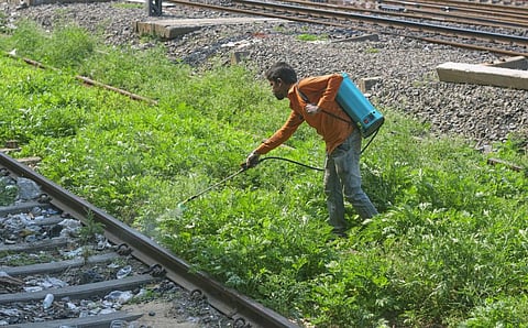 Centre restricts use of common weedicide glyphosate citing health hazards