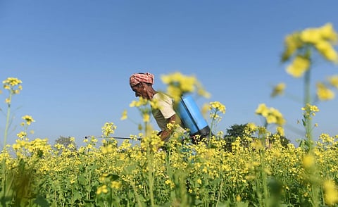 Why India should ban, not just restrict, use of dangerous weedicide glyphosate