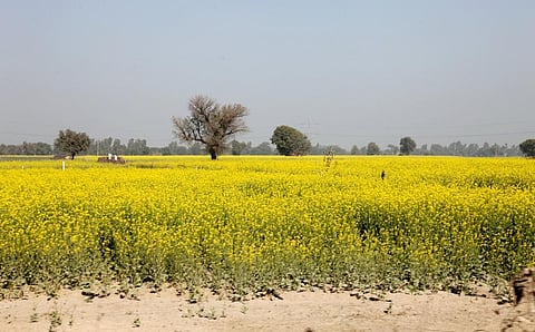 Photo: iStock