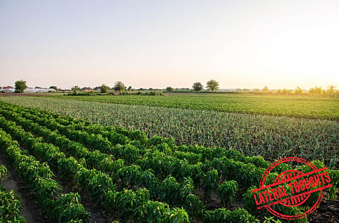 Failure to study climate change impact on wild foods can show on global health indicators