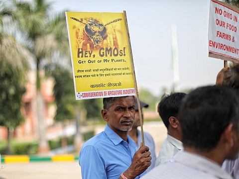 A farmer in front of ICAR-Mustard Research Institute in Bharatpur, Rajasthan. Photo: Vikas Choudhary/ CSE