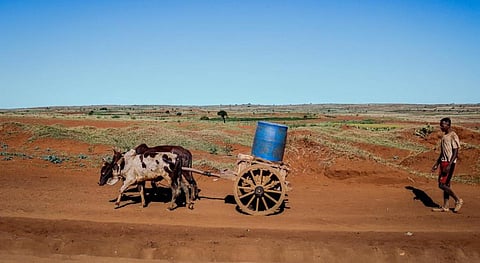 The fact that southern Madagascar is so vulnerable to droughts and famines has a lot to do with its colonial heritage, rather than climate change. Photo: @IFRCAfrica / Twitter