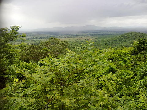 ‘Review 150,000 forest rights claims rejected without reason’