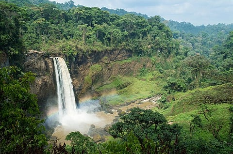 Droughts in Cameroon’s far north region contribute to severe food insecurity and loss of livelihoods. Photo: iStock