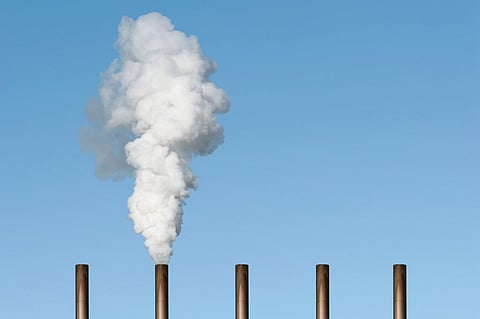 Emissions trading: ‘Permanence of carbon credits, human rights protection needs focus at COP27’