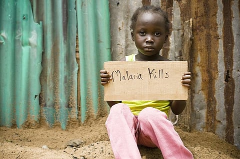New dangers, such as antimalarial drug resistance, could erode the progress made over the last two decades. Photo: iStock