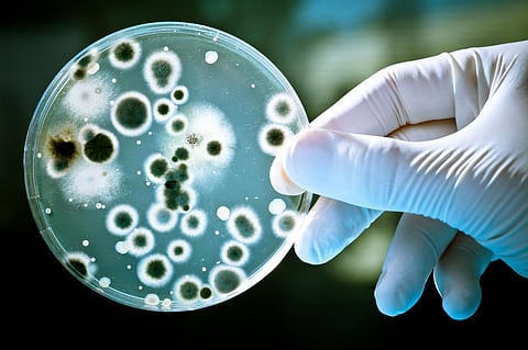 Photo: iStock