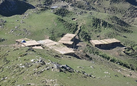 Chamba is said to have one of the highest numbers of the Gujjar shepherd community in Himachal Pradesh. Photo: iStock.