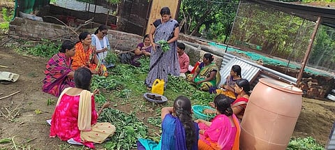 The non-profit encourages fellow women farmers from marginalised communities to diversify and increase crop cycles on small land holdings. Photo: Swayam Shikshan Prayog.