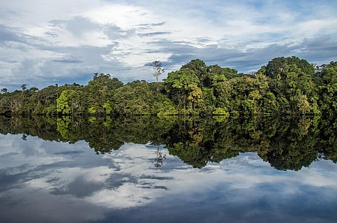 e delegation aims to draw attention to extractive industries, especially mining and fossil fuels, threatening biodiversity loss in the Amazon rainforest. Photo: Wikimedia Commons