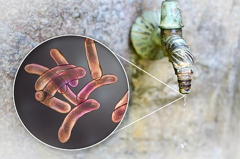 Photo: iStock
