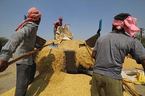 जलवायु परिवर्तन के प्रभावों से निपटने के लिए किसानों को सतत मूल्‍य श्रृंखलाओं की जरूरत