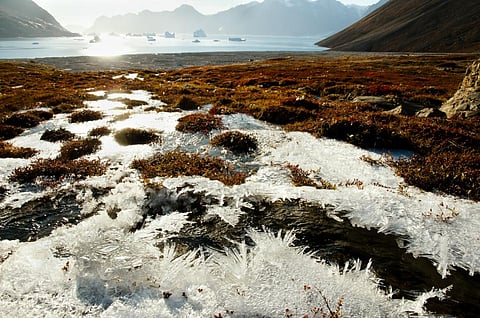 Photo: iStock