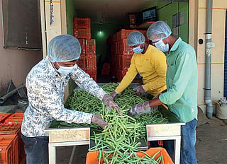 DTE Reportage: How to make organic farming click