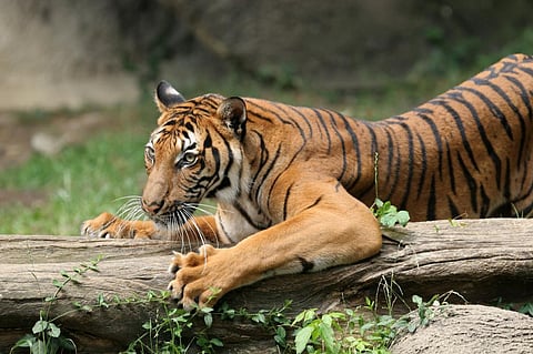 Photo: iStock