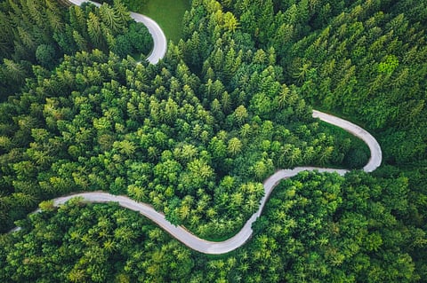 Photo: iStock