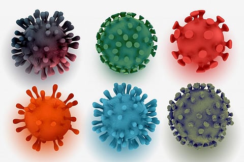 A new study published in Science journal reported some 5,500 new viruses. Photo: iStock