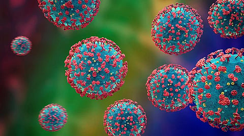 More than 650 sub-variants of omicron are currently under circulation. Photo: iStock.