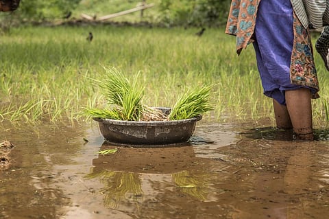 Photo: iStock