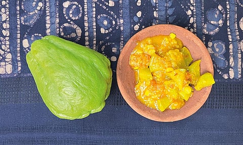 फोटो: विभा वार्ष्णेय / सीएसई 