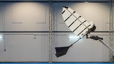 Perching and landing involve a highly delicate equilibrium of timing, high-impact forces, velocity and precision. Photo: Swiss Federal Institute of Technology Lausanne (EPFL) / Raphael Zufferey.